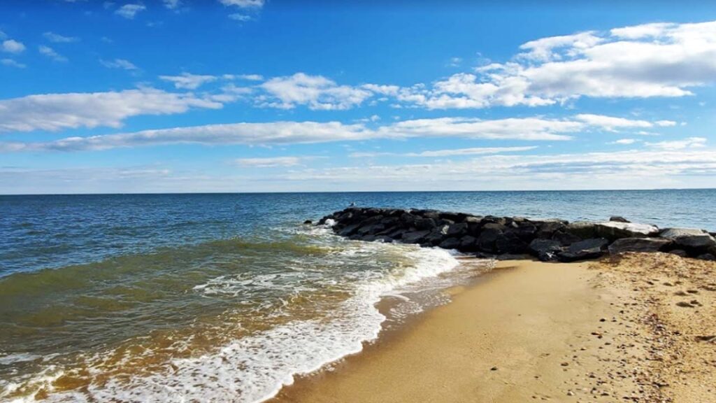 Chesapeake Bay is one of the largest estuaries in the US