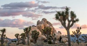 6 Oldest Public Parks in the US [Update 2022]