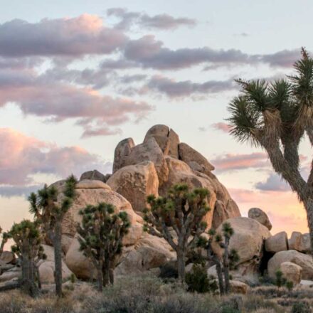 Oldest Public Parks in the US