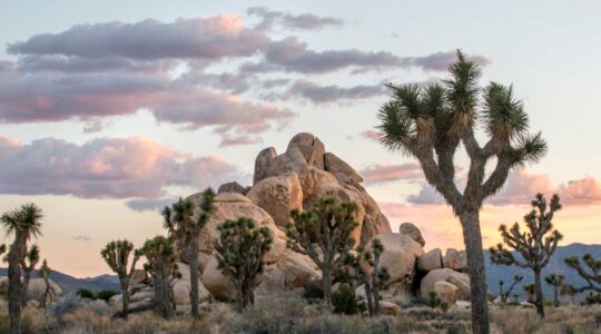 Oldest Public Parks in the US