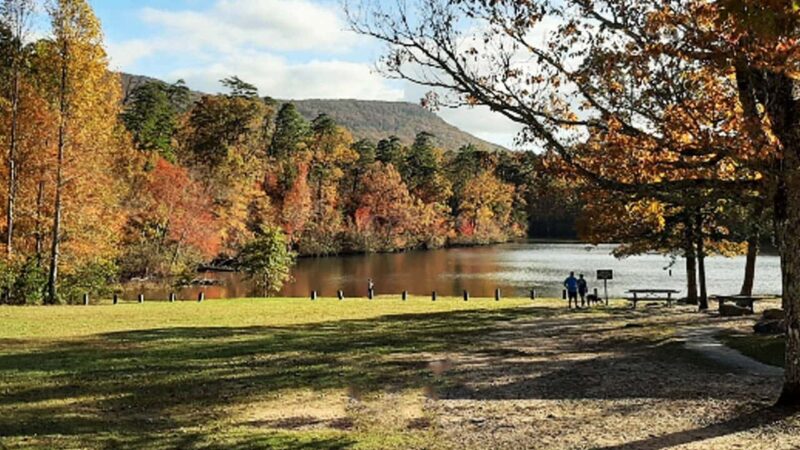 12 Best RV Parks in Alabama [Update 2024]