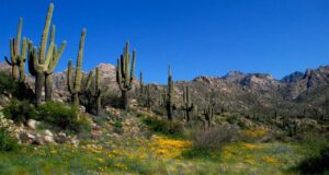 Top 10 State Parks in Arizona [Update 2022]