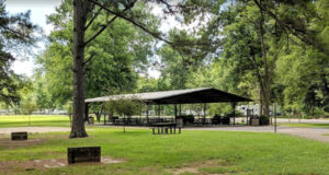 15 Popular Campgrounds in Arkansas [Update 2022]