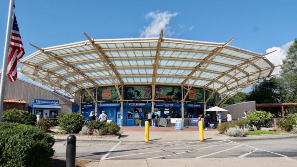 Mystic Aquarium is one of the best places to visit in Connecticut