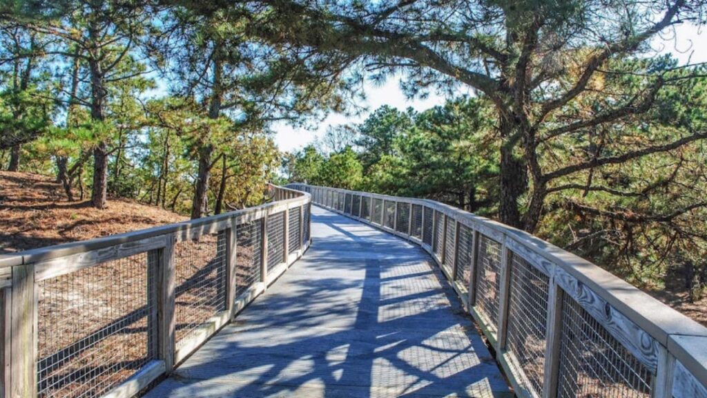 Cape Henlopen State Park is one of the best campgrounds in Delaware