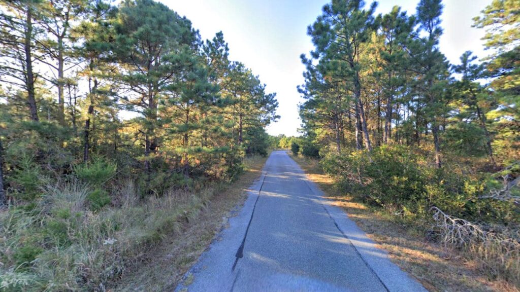 Cape Henlopen State Park Bike Loop is one of the most popular bike trails in Delaware 