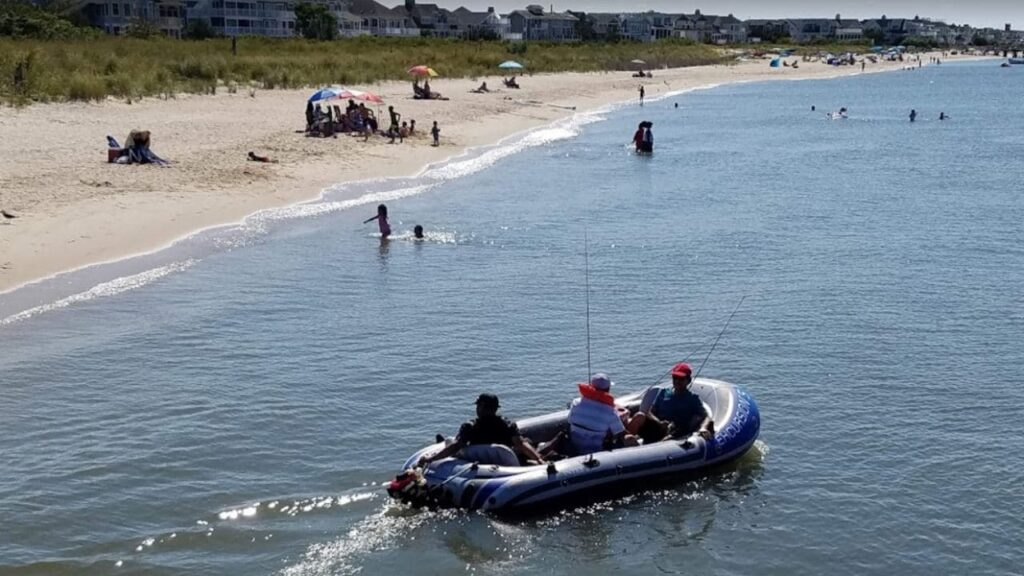 Cape Henlopen State Park