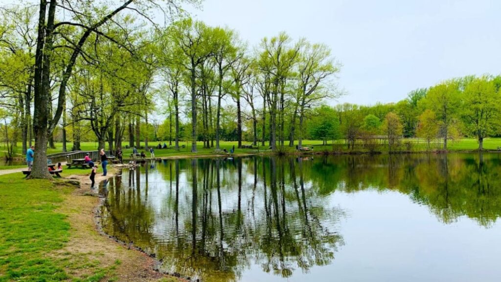 Bellevue State Park Pond