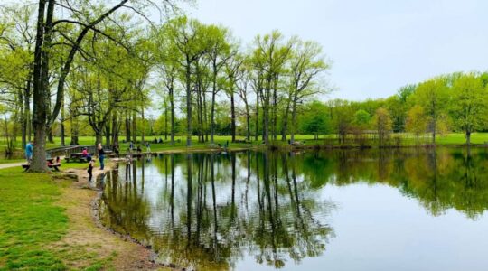 Top 15 Mind Refreshing Lakes in Delaware [Update 2022]