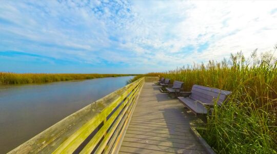 15 Best Places to Visit in Delaware [Update 2022]