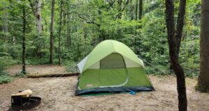 12 Best Campgrounds in Delaware [Update 2022]