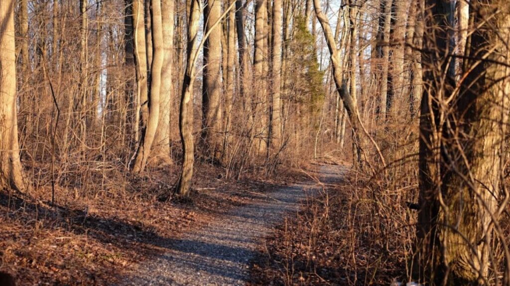 Lums Pond State Park Trail