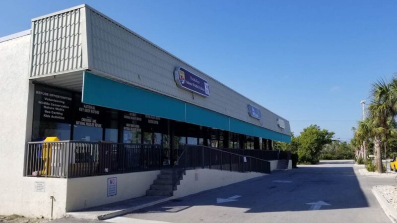 Top 10 Public Hunting Lands in Florida [Update 2024]