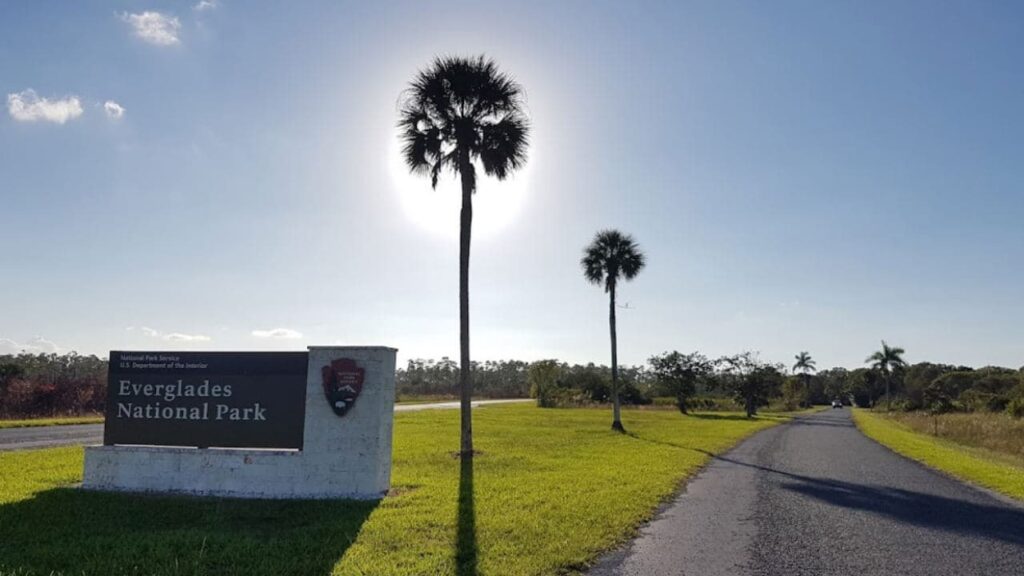 Shark Valley has one of the best bike trails in Florida