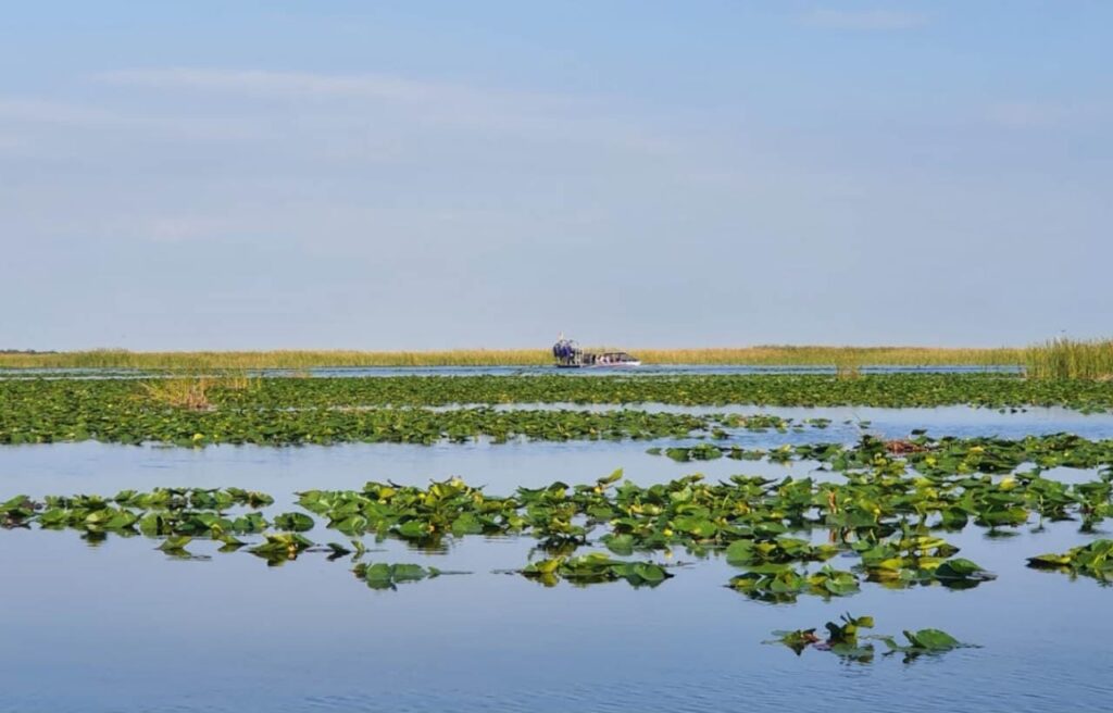 Everglades