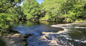 12 Most Beautiful Waterfalls in Florida [Update 2022]