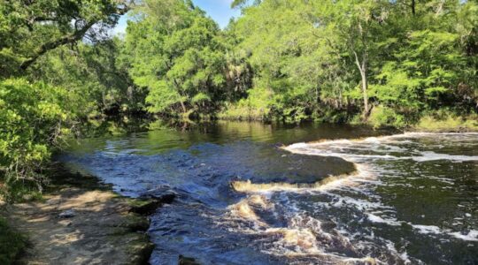 12 Most Beautiful Waterfalls in Florida [Update 2022]