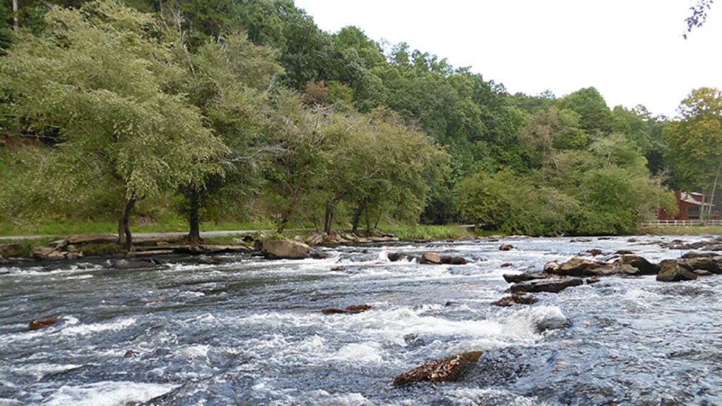 Coosawattee-Carter’s Lake is one of the best Public Hunting Lands in Georgia