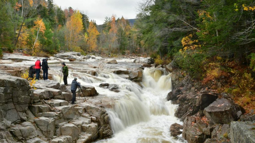 White Mountain National Forest is one of the most beautiful forests in the US.