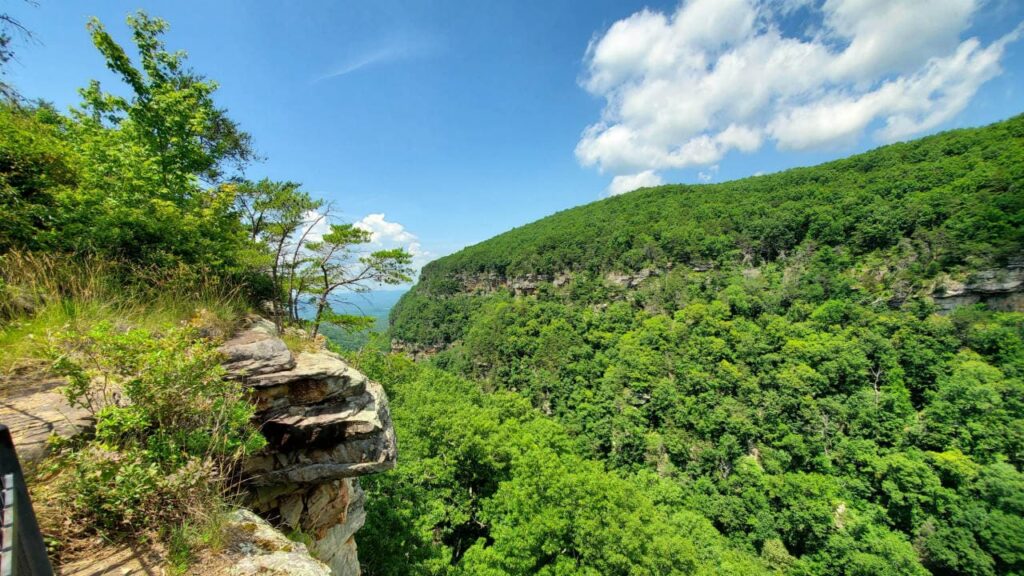 Cloudland Canyon State Park