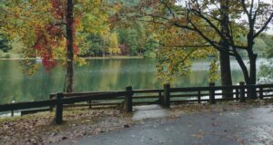 12 Best RV Parks in Georgia [Update 2022]