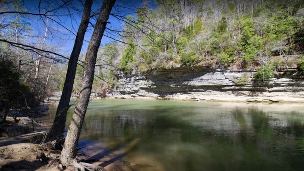 Bankhead National Forest