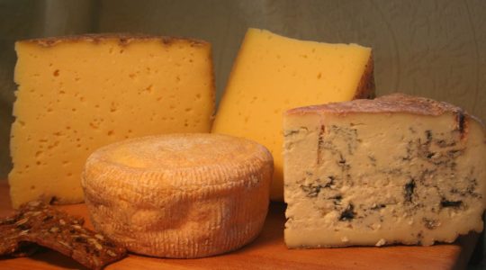 Top 10 American Cheese Brands [Update 2022]