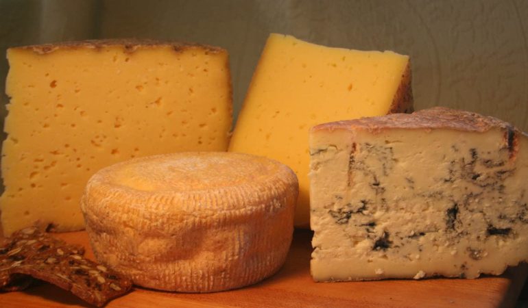 Top 10 American Cheese Brands [Update 2022]