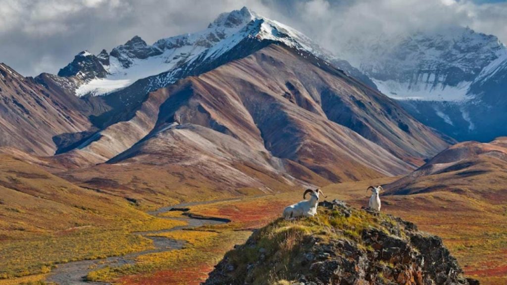 Denali National Park and Preserve