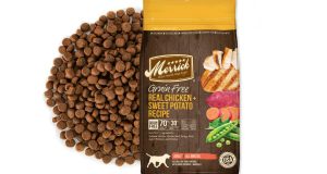 10 Top Dog Food Brands in USA [Update 2022]