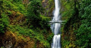 15 Most Beautiful Waterfalls in the US [Update 2022]