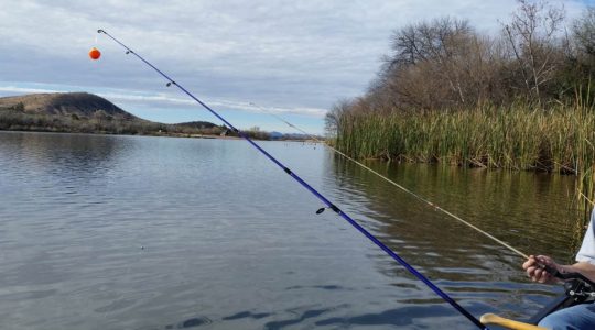 15 Popular Fishing Spots in Arizona [Update 2022]