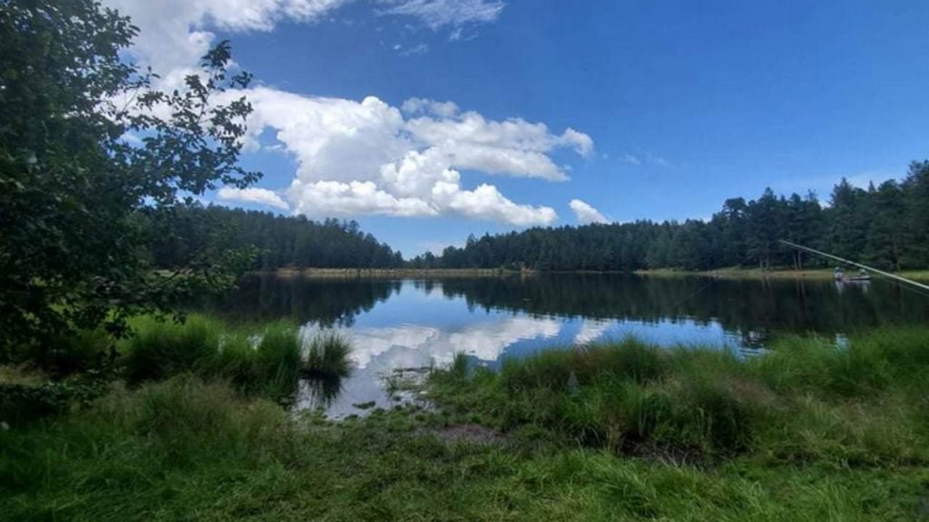 Graham is one of the best Public Hunting Lands in Arizona