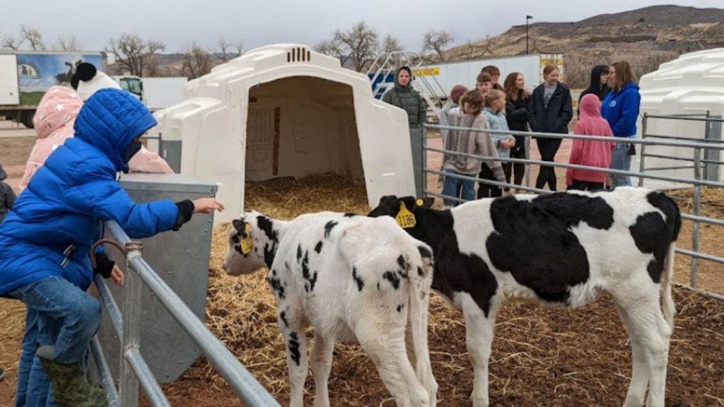 Morning Fresh Dairy Farm is one of the most Visit Worthy Dairy Farms in Colorado