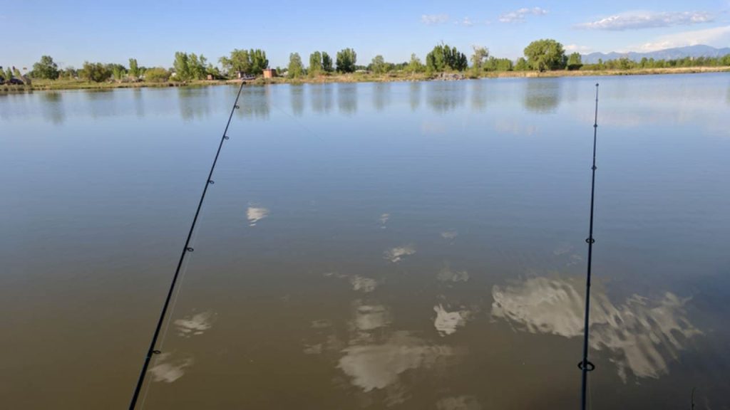 Vrain State Park, Longmont is one of the most Amazing Fishing Spots in Colorado