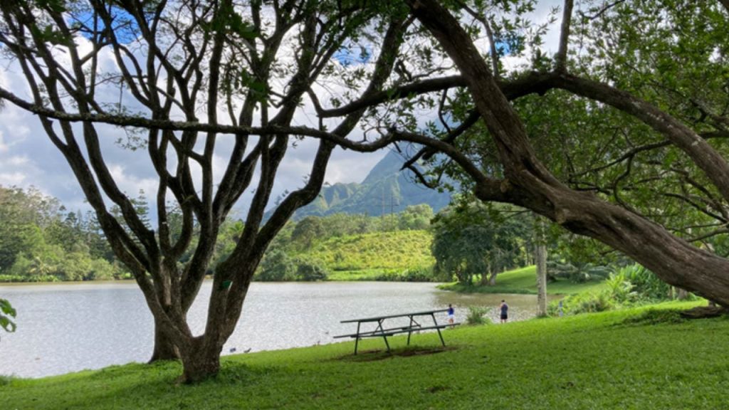 Ho’omaluhia Botanical Gardens