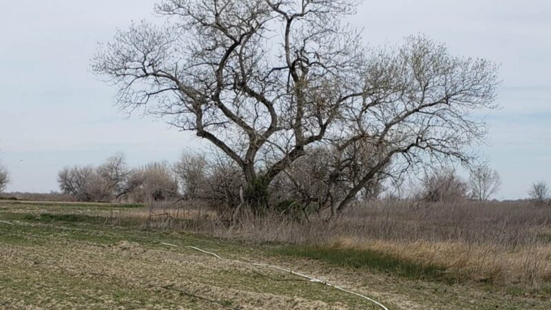 10 Public Hunting Lands in California [Update 2024]