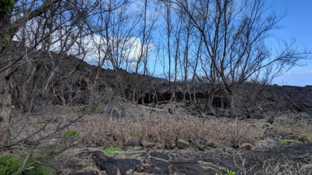 MacKenzie State Recreation Area