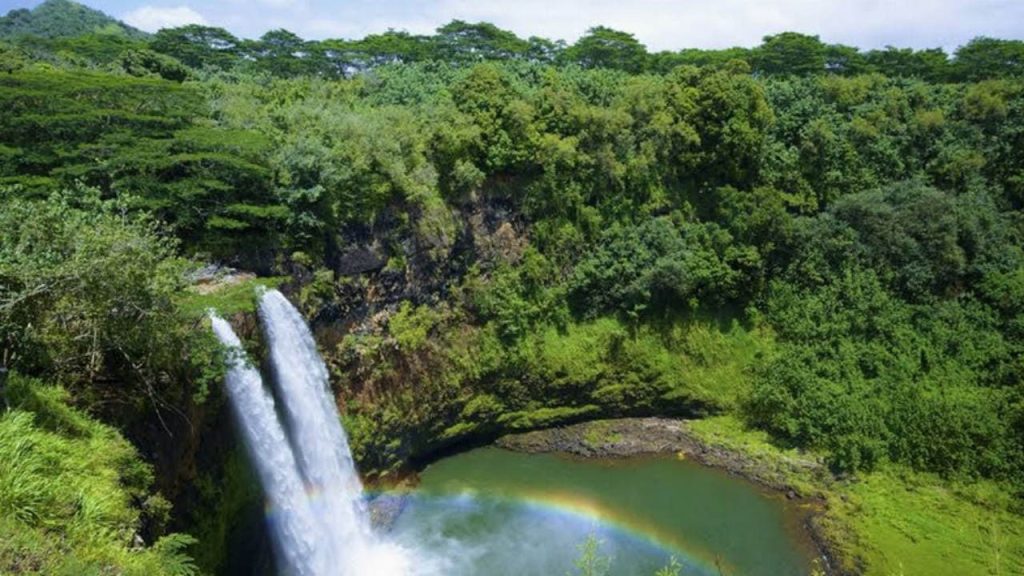 Wailua Falls, Kauai is one of the most Fascinating Waterfalls in Hawaii