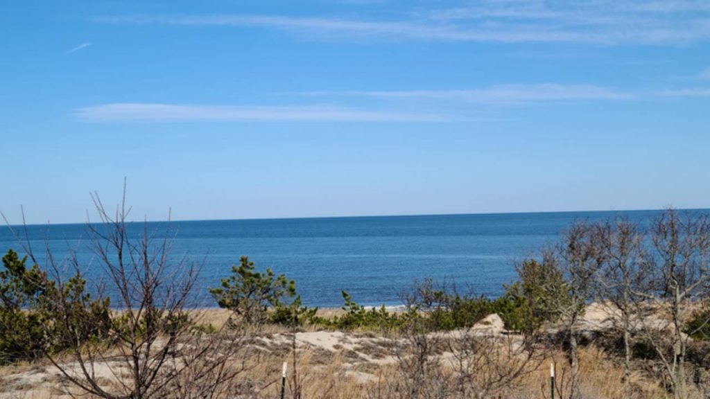 Cape Henlopen State Park