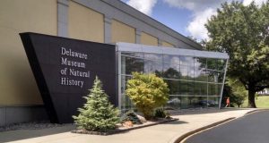 12 Wonderful Museums in Delaware [Update 2022]