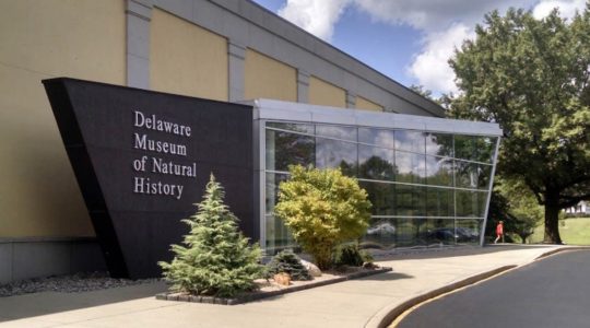 12 Wonderful Museums in Delaware [Update 2022]