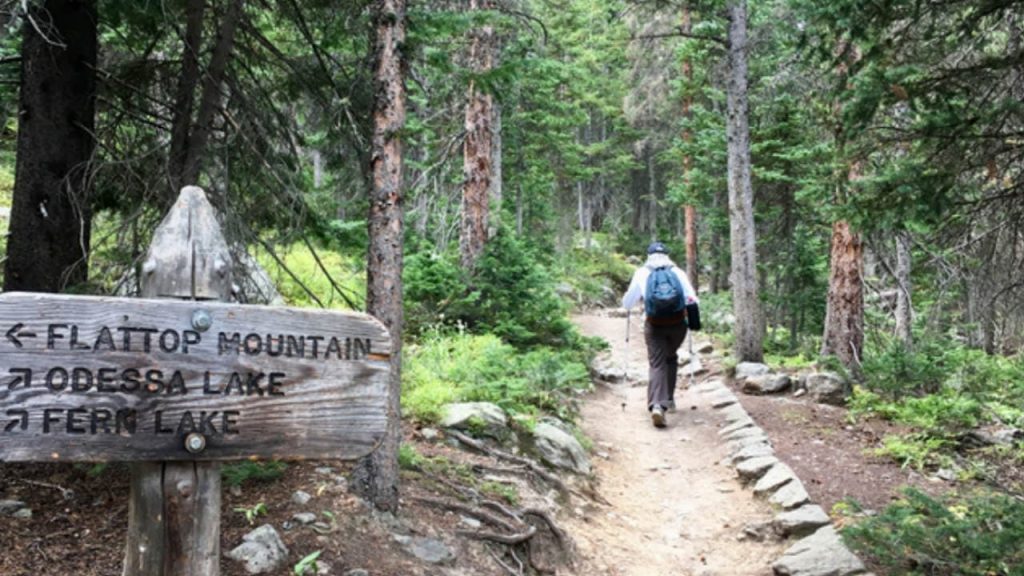 Fern Falls Hike in Rocky Mountain National Park