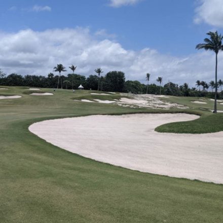 15 Top Rated Golf Courses in Florida [Update 2022]