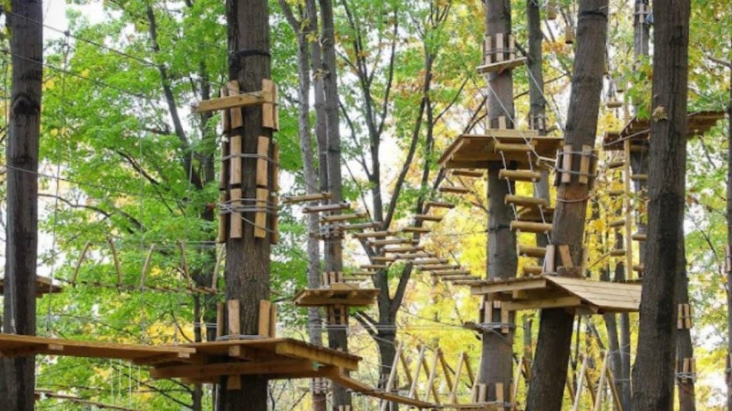 The Adventure Park at Storrs