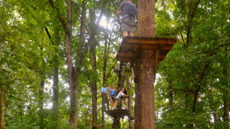 8 Extreme Ziplines in Arkansas [Update 2024]