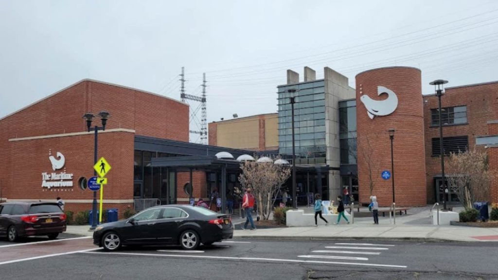 The Maritime Aquarium, Norwalk