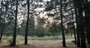 10 Public Hunting Lands in California [Update 2022]