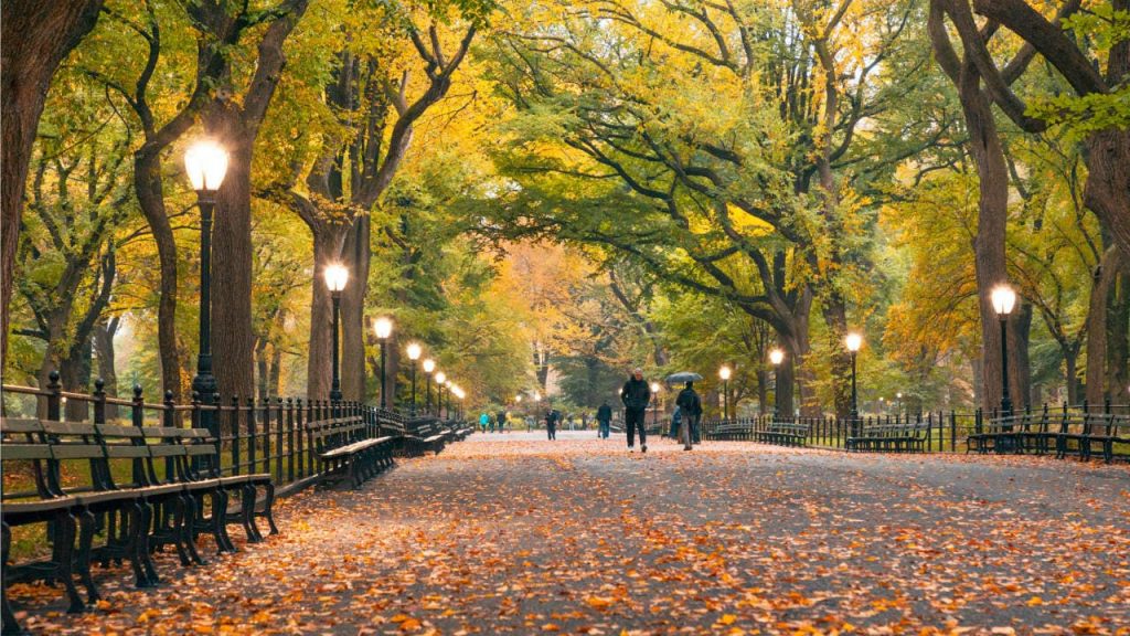 Central Park, New York