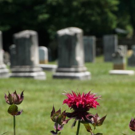 10 Major Cemeteries in Delaware [Update 2022]